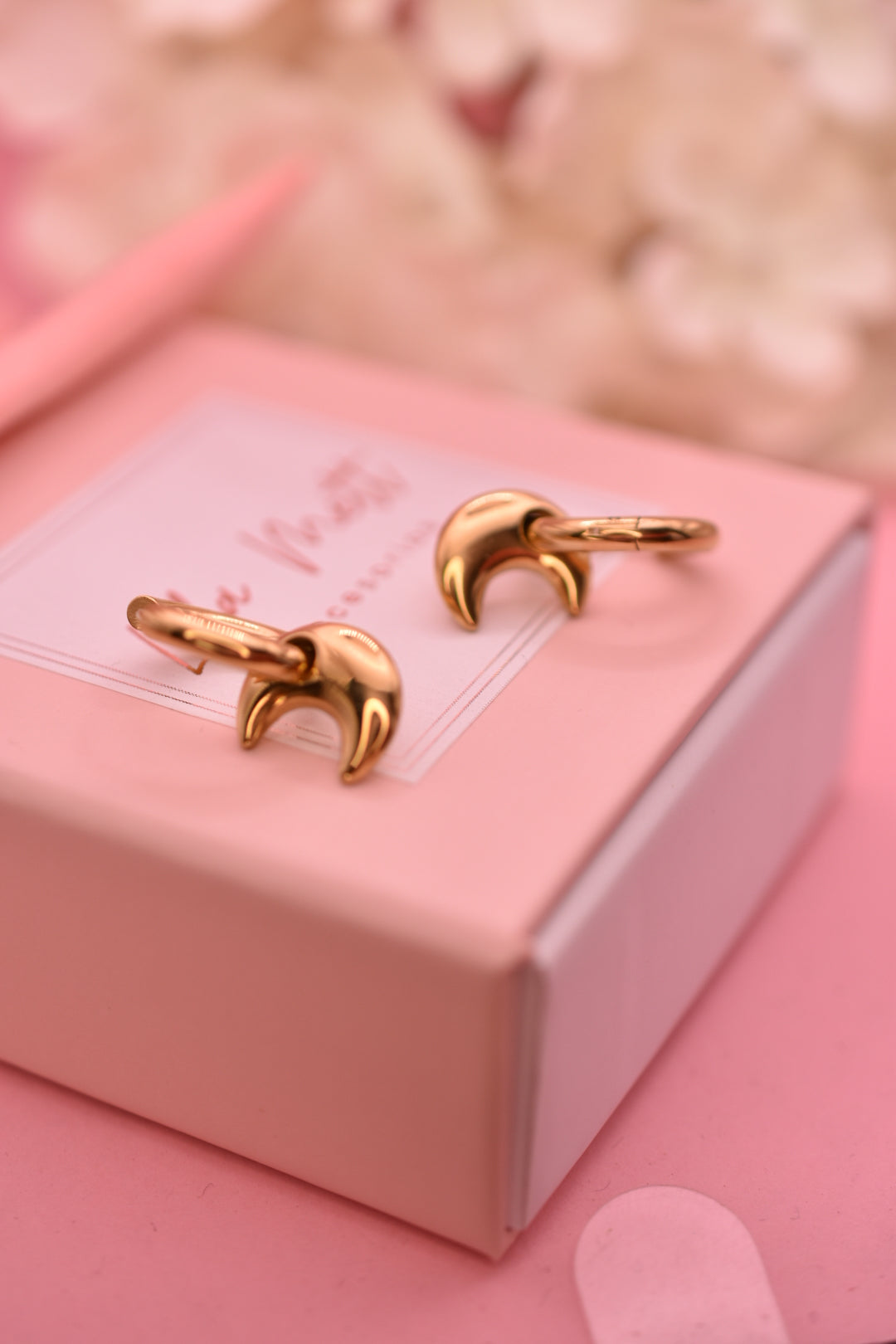 Aretes Luna